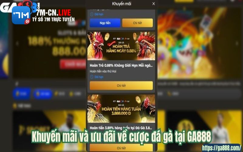 7m 6 Khuyến mãi và ưu đãi về cược đá gà tại GA888